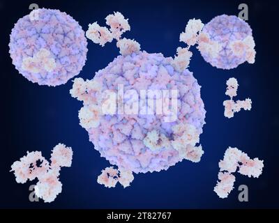 Antibodies attacking foot-and-mouth virus, illustration Stock Photo