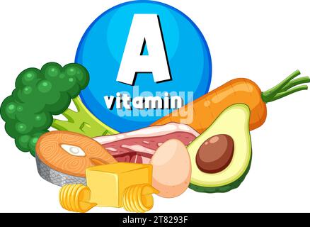 Illustration of a variety of vitamin A-rich foods for educational purposes Stock Vector