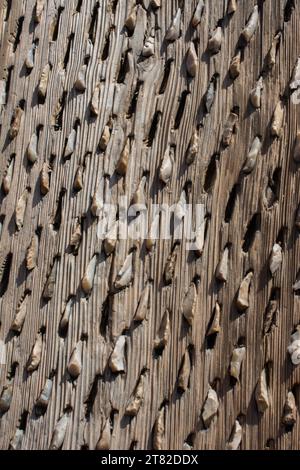 An old traditional threshing sled in the view Stock Photo