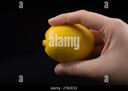 The fruit of Yellow Lemon is in Hand on black Stock Photo