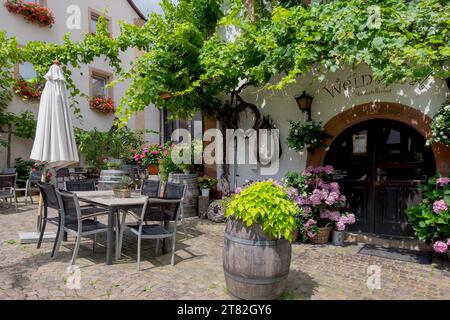 Wine tavern, wine village Gleiszellen, Southern Wine Route, Southern Palatinate, Palatinate, Rhineland-Palatinate, Germany Stock Photo