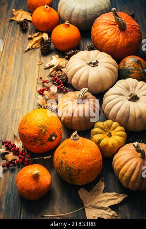 Autumn and Thanksgiving background with pumpkins and autumn leaves Stock Photo