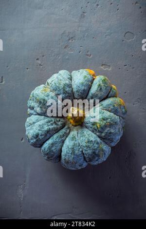 Pumpkins on grey background, autumn home decoration. Thanksgiving, Halloween and harvesting concept Stock Photo
