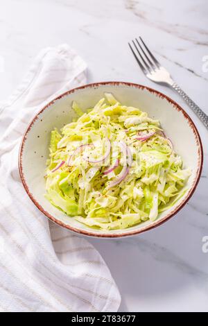 Vegan coleslaw salad made of freshly shredded white cabbage with red onions Stock Photo