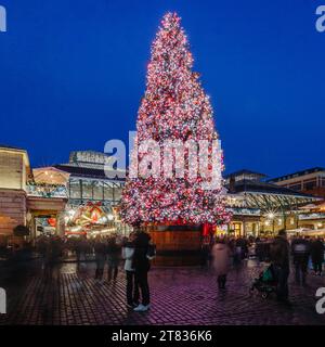 The giant christmas tree in Covent Garden stands tall and bright at dusk in London. Stock Photo