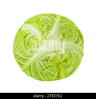 Savoy cabbage head, lower part, isolated on white background with clipping path Stock Photo