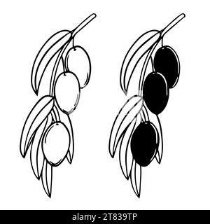 Two graphically depicted branches of an olive tree. Ripe berries for the olive oil label. Vector element for a trademark, logo. White background, mono Stock Vector