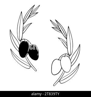 Two graphically depicted branches of an olive tree. Ripe berries for the olive oil label. Vector element for a trademark, logo. White background, mono Stock Vector