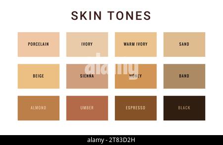 Skin tone color scale chart. Brown palette vector human skin infographic banner icon Stock Vector