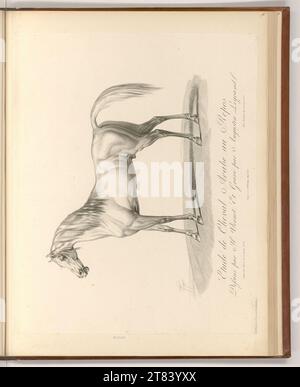 Auguste Claude Simon Legrand (Engraver) Arab horse study at rest. Pencil around 1818 Stock Photo