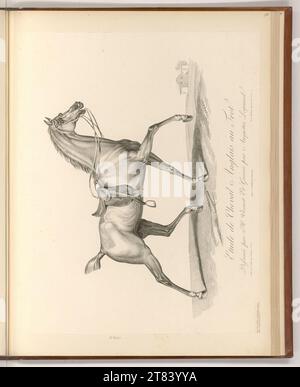 Auguste Claude Simon Legrand (Engraver) English horse horse study with a trotting. Pencil around 1818 Stock Photo