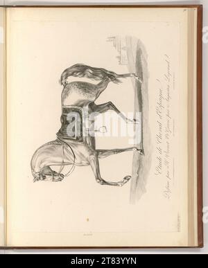 Auguste Claude Simon Legrand (Engraver) Spanish horse study. Pencil around 1818 Stock Photo