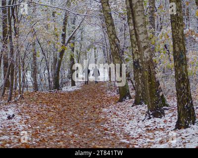 Two people walk on a snowy path in the winter forest Stock Photo