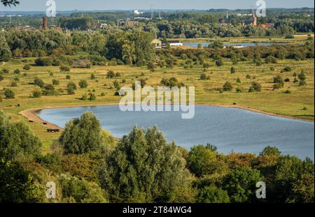 Hill top view of Blauwe Kamer nature reserve nearby the city of Rhenen, seen from the Grebbeberg observation point Stock Photo