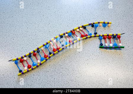 Plastic model of a DNA string Stock Photo