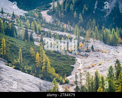 Rocky slope with larch trees in autumn colors in the Dolomites Stock Photo
