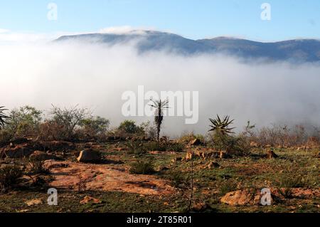 As the world battles climate change mist covers Maja village on the edges of the Drakensberg mountains in Limpopo, South Africa as weather patterns Stock Photo