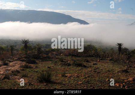 As the world battles climate change mist covers Maja village on the edges of the Drakensberg mountains in Limpopo, South Africa as weather patterns Stock Photo