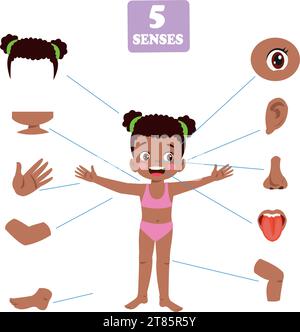 Five Senses Concept With Human Organs Stock Vector Image & Art - Alamy