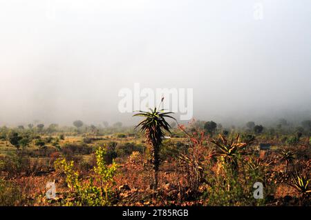 As the world battles climate change mist covers Maja village on the edges of the Drakensberg mountains in Limpopo, South Africa as weather patterns Stock Photo