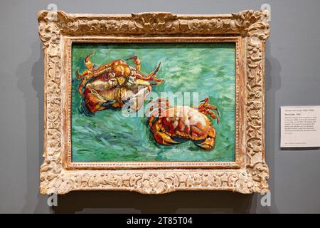 London, UK - May 2023: Two Crabs painting by Vincent van Gogh. It is a still life of two crabs, one on its back and one upright. Oil on canvas from 18 Stock Photo