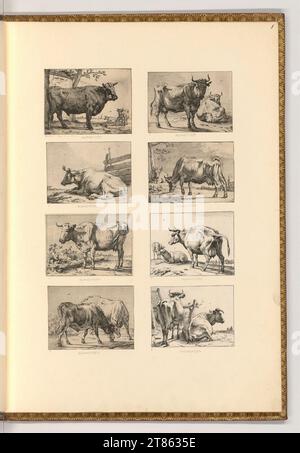 Paulus Potter (Ausführende r Künstler in) Various cows. etching 1644-1677 , 1644/1677 Stock Photo