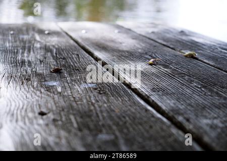People like eating at the picnic table in warm weather. Stock Photo