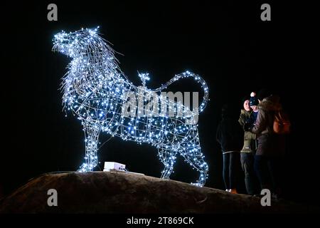 Drnholec, Czech Republic. 18th Nov, 2023. Fifteen metal sculptures of twelve species of animals, a light tunnel, a light swing and one illuminated maze with a competition include a walk through the Light Zoo, which opened in the World of Mazes in Drnholec in the Breclav district, South Moravian Region. Photo taken on November 18, 2023. Credit: Vaclav Salek/CTK Photo/Alamy Live News Stock Photo