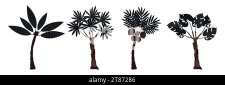 Set of palm trees: coconut and banana. Large carved leaves and dark trunks. Plants. Vector illustration Stock Vector