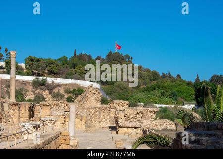 Ruins of Ancient city Carthage near Tunis, Tunisia. Archaeological site, North Africa Stock Photo