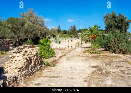 Ruins of Ancient city Carthage near Tunis, Tunisia. Archaeological site, North Africa Stock Photo