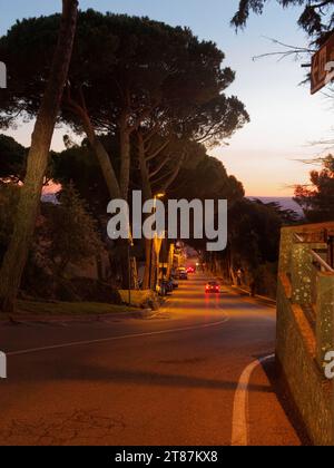 Steep winding road in Montefiascone at twilight with Stone Pine trees aka Umbrella Pine, as cars pass with lights on, Lazio Region, Italy. Nov 23 Stock Photo
