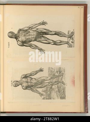Andreas Vesalius (An der Entstehung Beteiligte r) Anatomy of the human ...