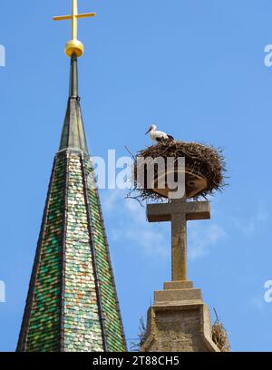 Stork in nest on church rooftop, white bird sits on big stone cross of roof on sky background. Vertical view of wild stork living on building top in s Stock Photo