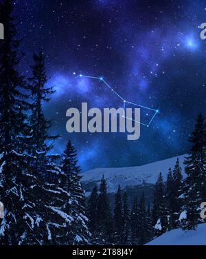 Great Bear (Ursa Major) constellation in starry sky over conifer forest and mountain at night Stock Photo