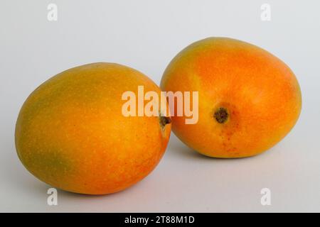 Mango. Fresh organic mango isolated on white background. Mango macro. With clipping path Stock Photo