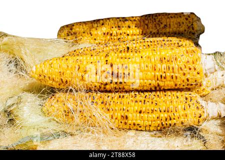 Grilled Ears of Sweet corn isolated on white background Stock Photo