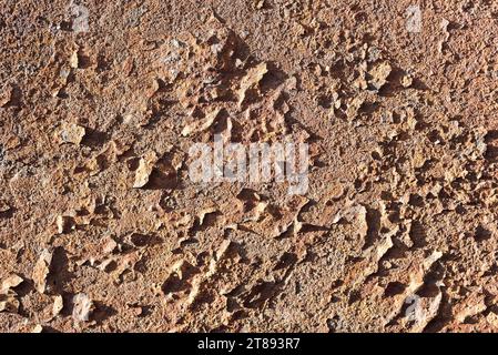 Background from an old rusty metal sheet. Stock Photo