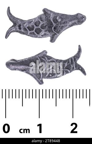 Antique Malaysian coin in the form of pike fish. Isolated on white Stock Photo