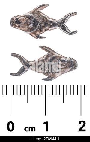 Ancient Malaysian coin in the form of a crucian fish. Isolated on white Stock Photo