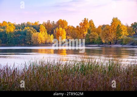 Sunny fall day close to the blue Dnieper river in Kiev, Ukraine, with yellow autumn trees around Stock Photo