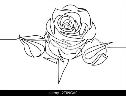 vector of rose flowers- continuous line drawing Stock Vector