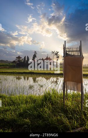 Great fresh rice terraces with water in the morning. View over fish green to a Hindu temple in the morning. Landscape shot on a tropical island Bali Stock Photo