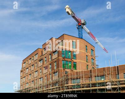 Modern apartments residential development, Huntley Wharf, Reading, Berkshire, England, UK Stock Photo