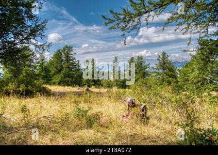 paysage des alpes française à la fin de l'été depuis le mont Colombis / Summer landscape of the french alps from mount Colombis Stock Photo