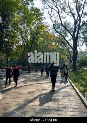 Beijing, China, Large Crowd People, Chinese Tourists Visiting, walking, Urban Park, 'Beihai Park', Autumn Path Stock Photo