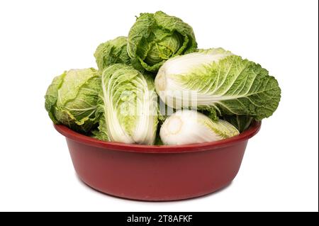 Fresh chinese cabbage in a red basket. Isolated on a white background. Stock Photo