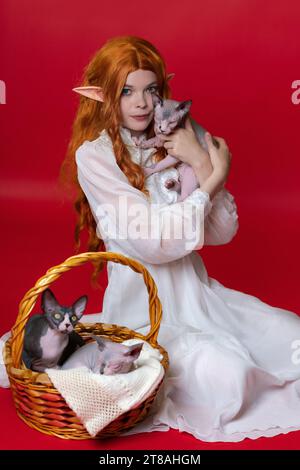 Young female cosplay elf sitting with three loves Sphynx kittens on red background. She holds one of them in hands, other two in brown wicker basket Stock Photo