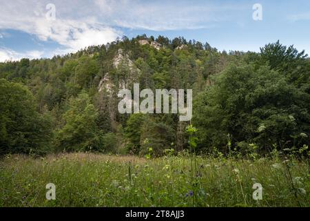 Meadow below Tomas's sight view in Slovak Paradise National Park, Slovakia Stock Photo