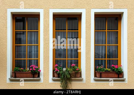 Three rectangular windows with flowers on the windowsill, with orange frames on a beige wall background. From the Windows of the world series. Stock Photo